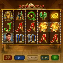 MrPunter - Book of Dead Slot Game